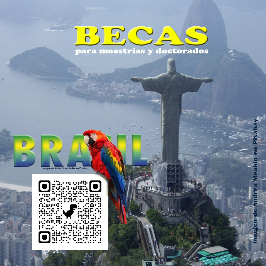 BECAS BRASIL JUNIO 2024