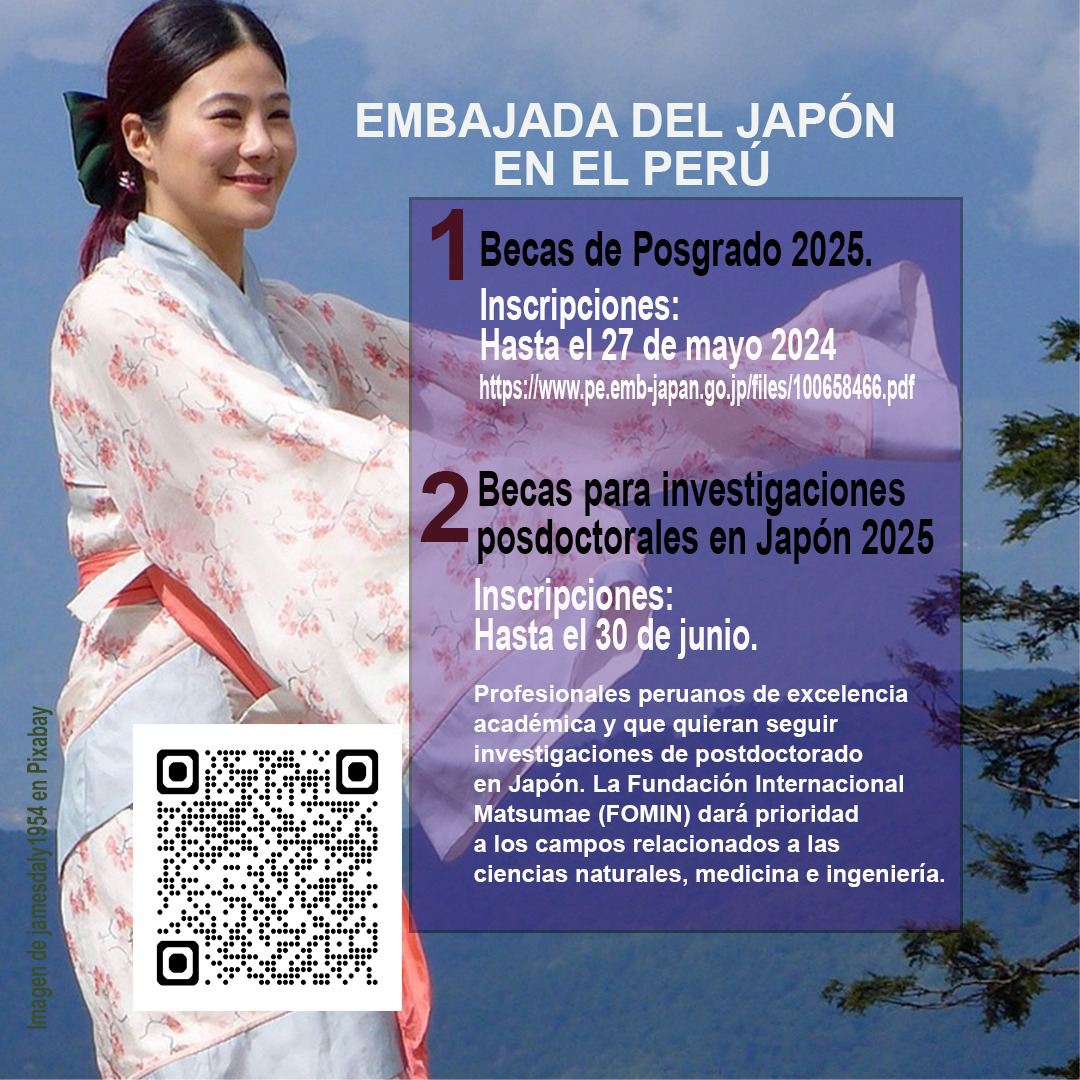 BECAS MAYO JAPON