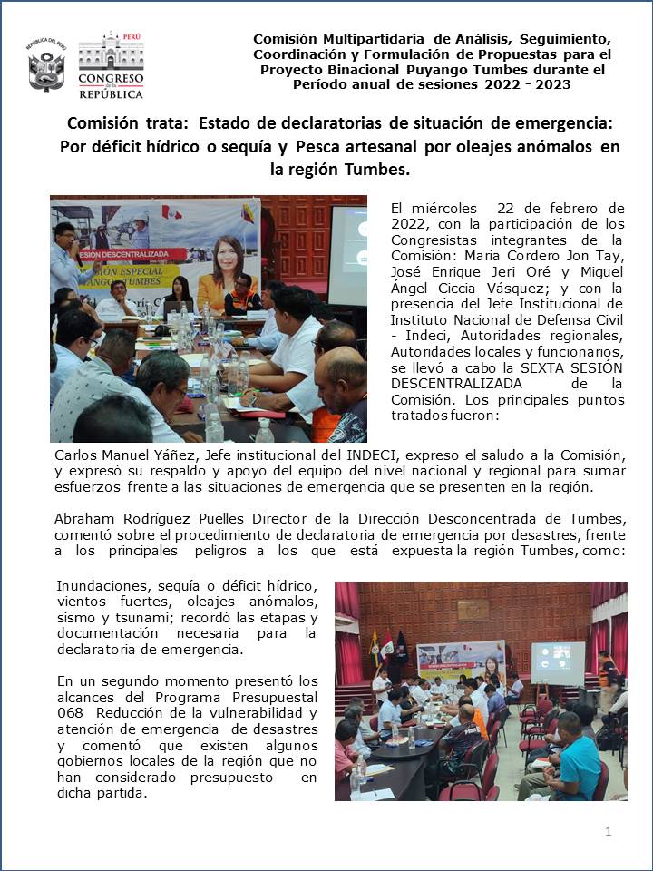 Sexta Sesi&oacute;n Descentralizada 22.02.2023