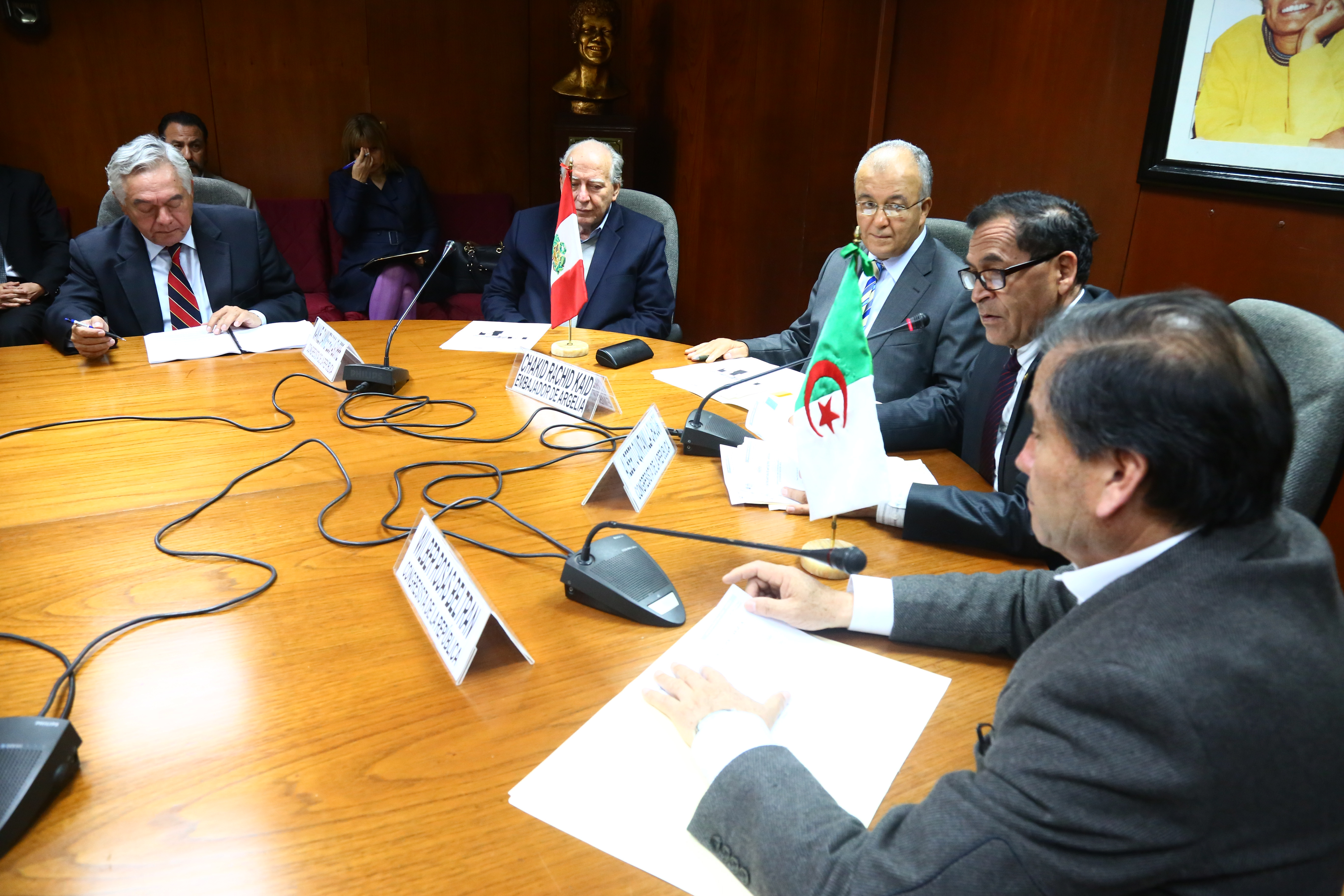 Instalaci&oacute;n LPA Per&uacute; - Argelia