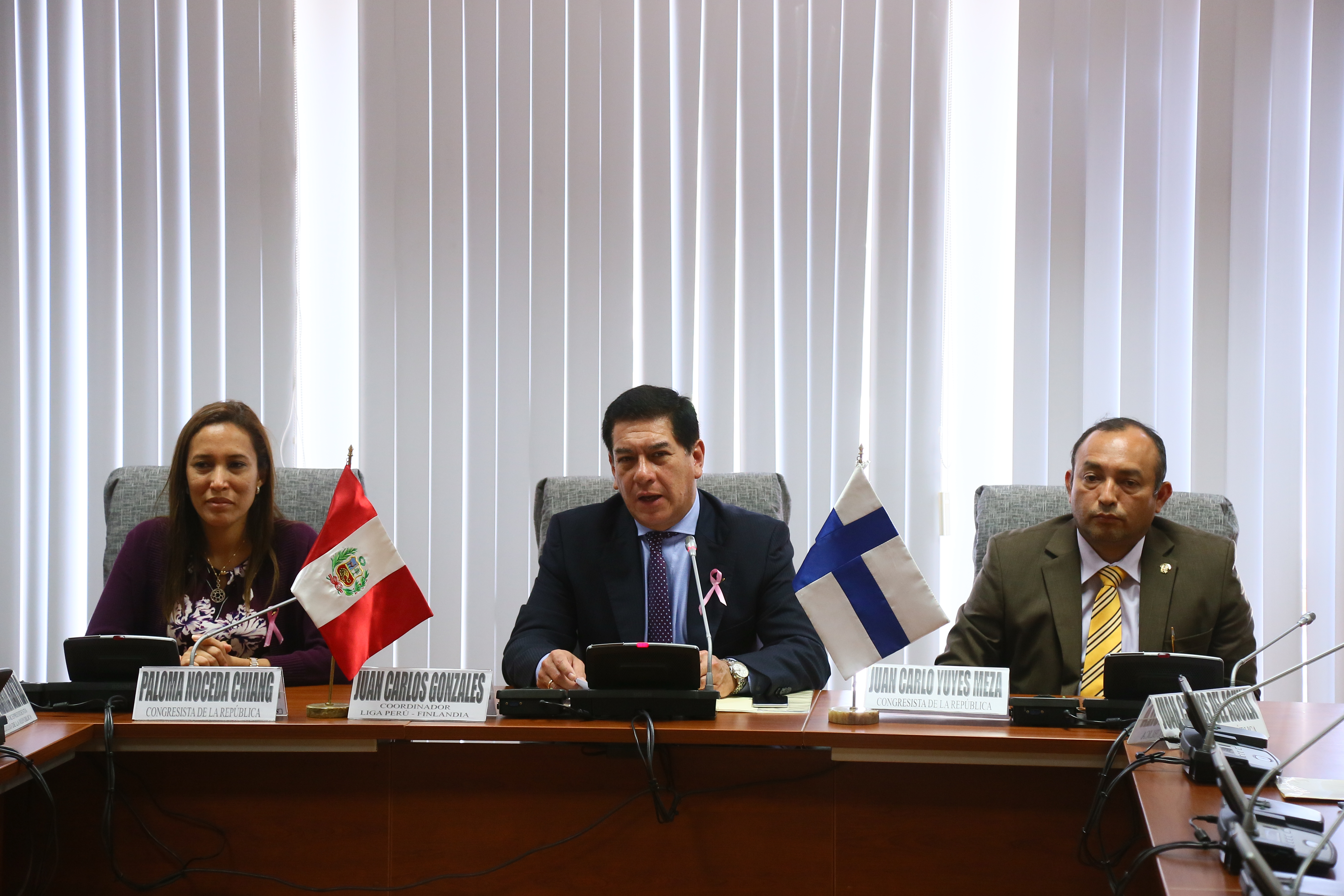 Instalaci&oacute;n LPA Peru - Finlandia