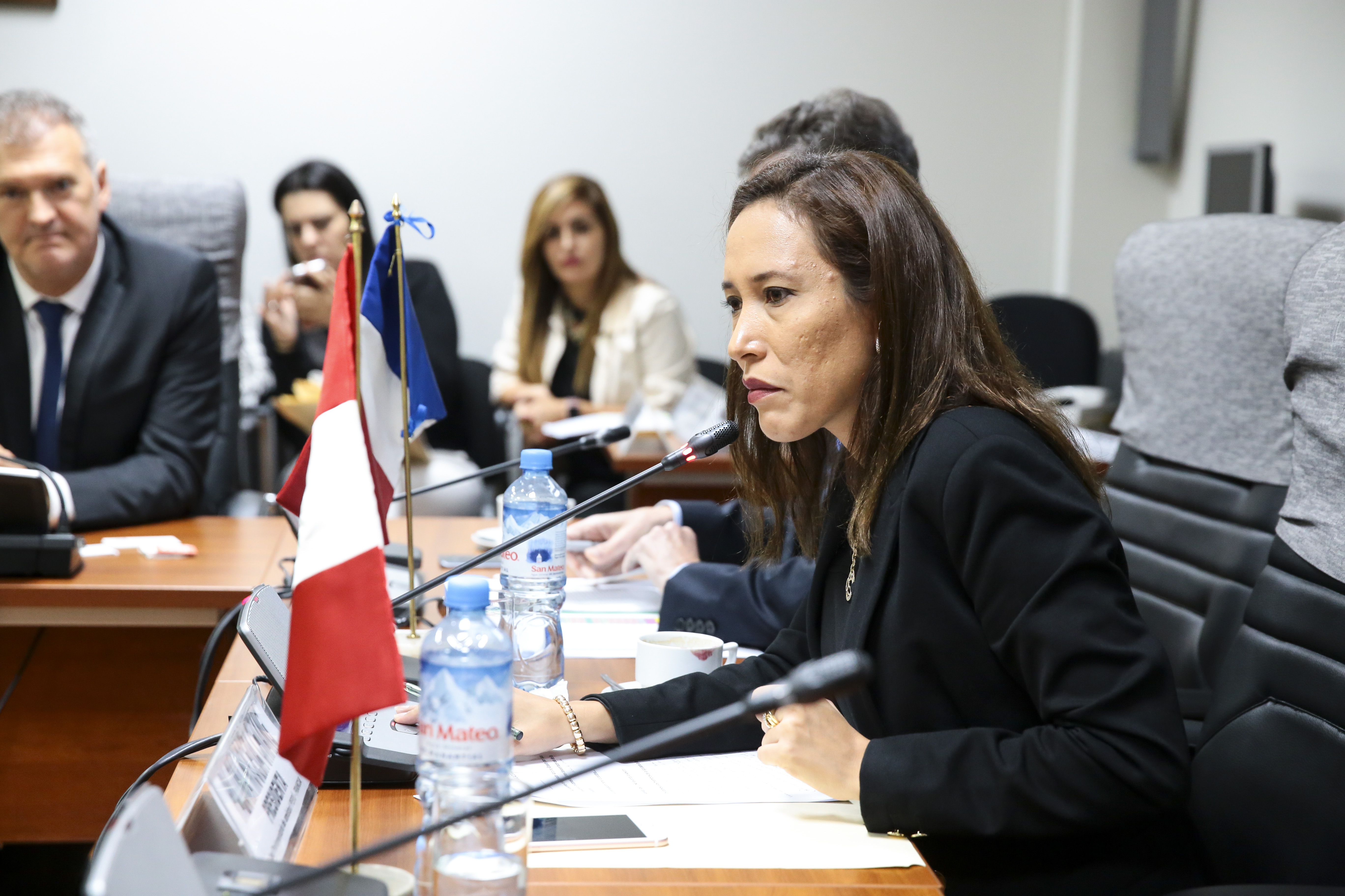 Sesi&oacute;n Per&uacute;-Francia