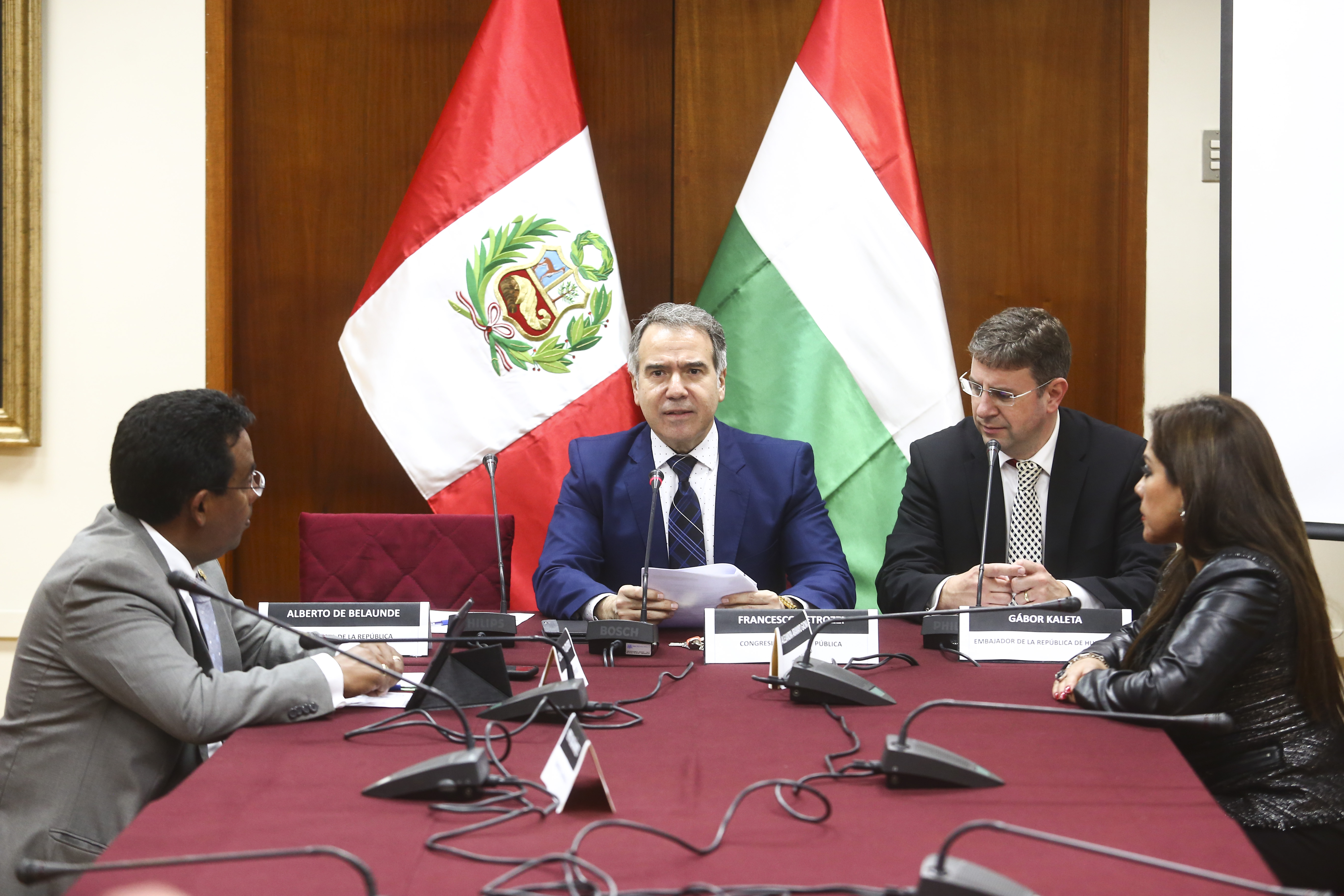 Instalaci&oacute;n LPA Peru - Hungr&iacute;a