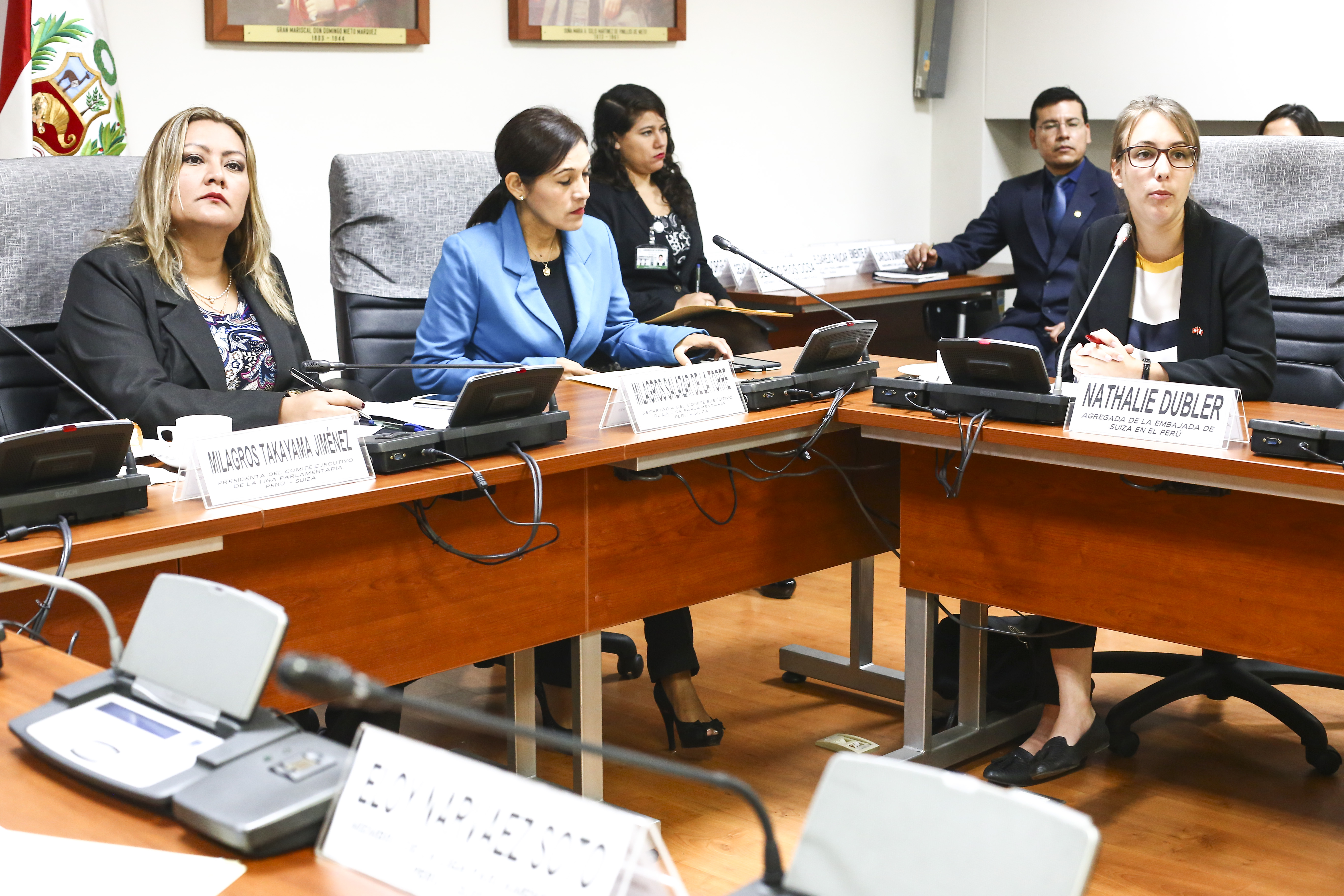 Instalaci&oacute;n LPA Per&uacute; - Suiza